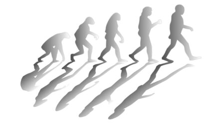 evolution and intelligent design