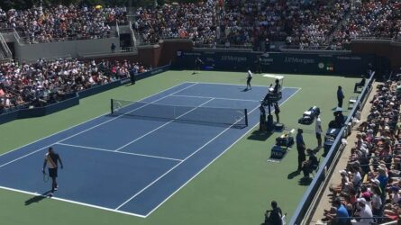 Sports and the family|