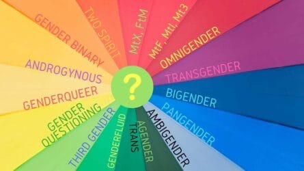 The gender wheel