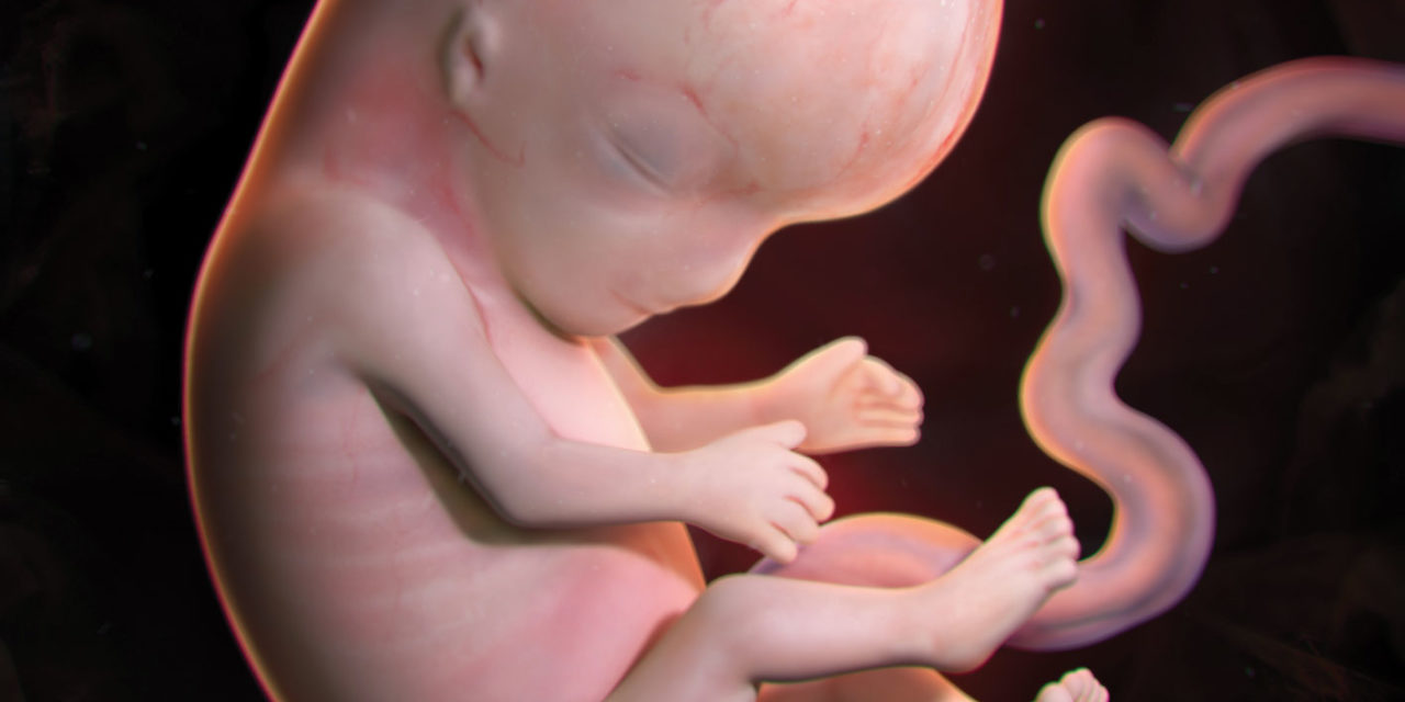 Do Preborn Babies Feel Pain?
