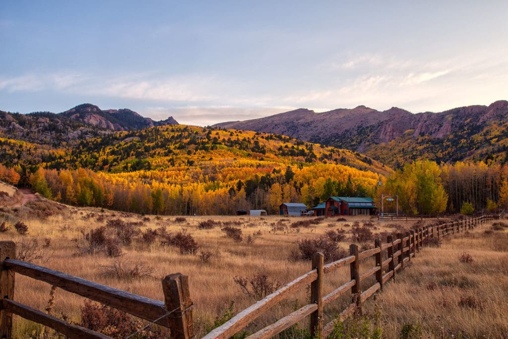 The Trees of the Field Will Clap Their Hands Daily Citizen