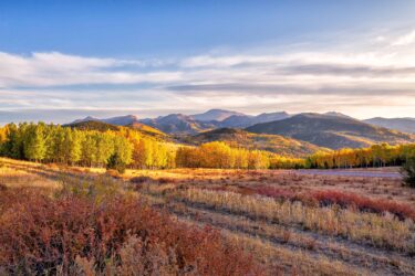 Fall in Colorado||||||||||||||||||