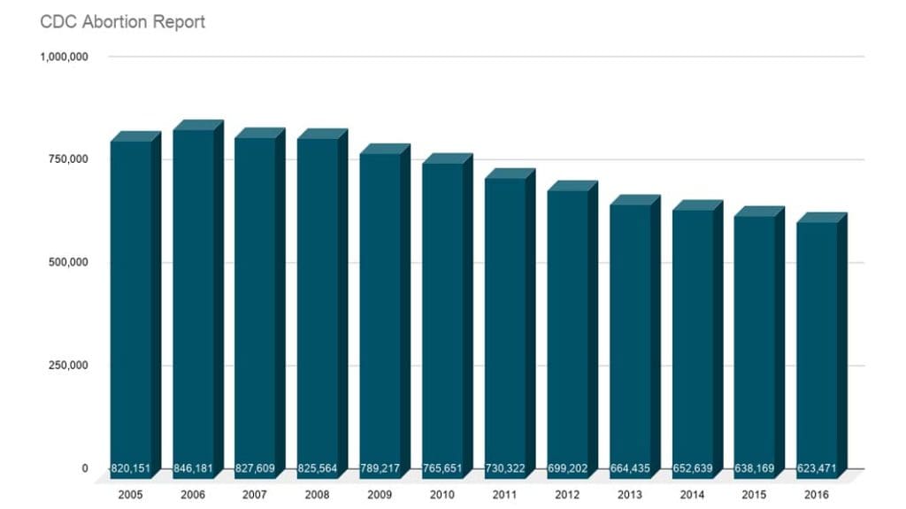 CDC Abortion Report