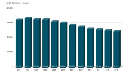 CDC Abortion Report