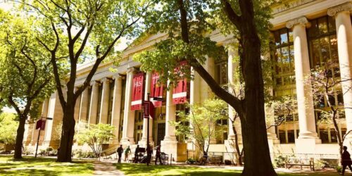 Harvard Law