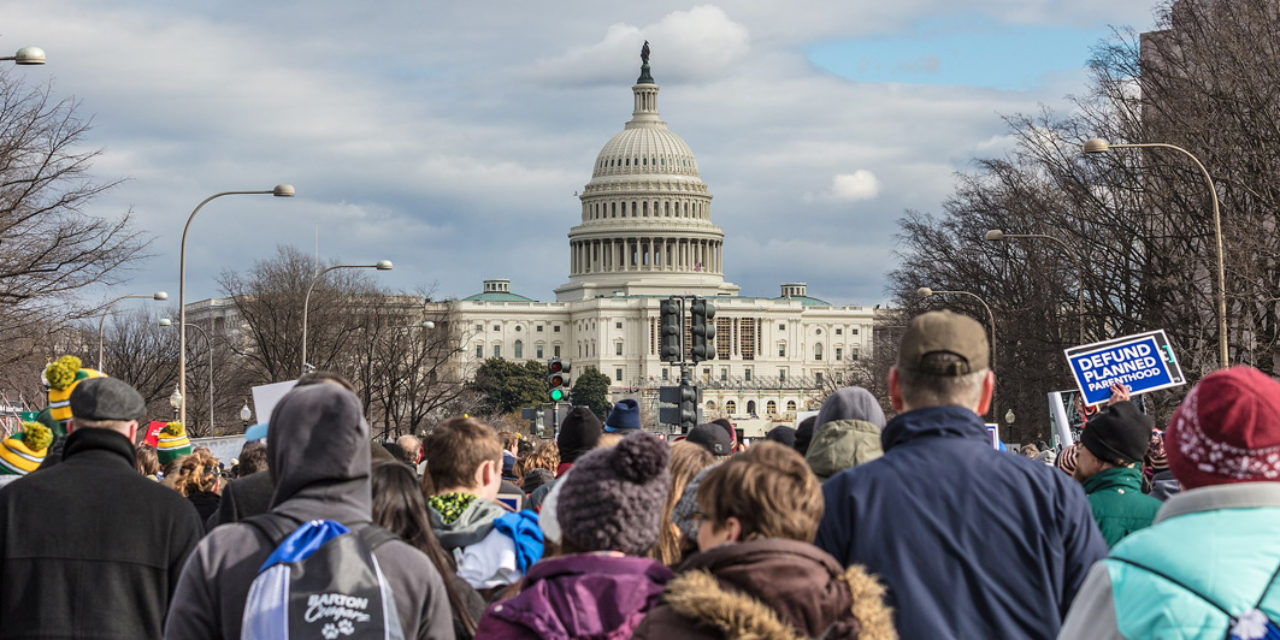 Why the Democrat-Led Government is Never in Session During March for Life
