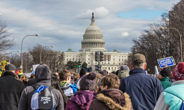 Why the Democrat-Led Government is Never in Session During March for Life