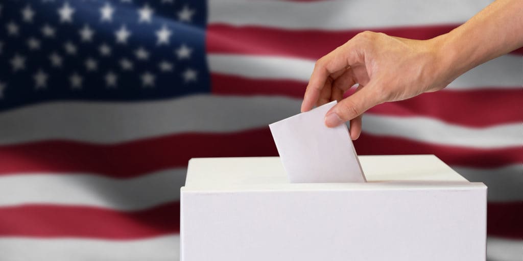 Fringe candidates in the 2020 election