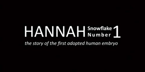 A Snowflake Named Hannah