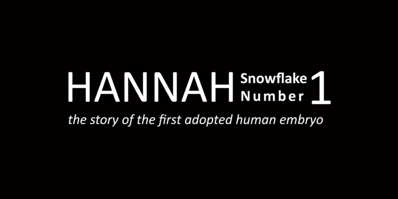 A Snowflake Named Hannah