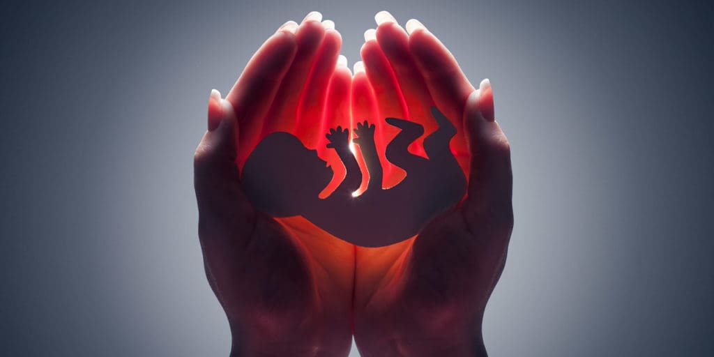 Hands holding an image of an unborn baby