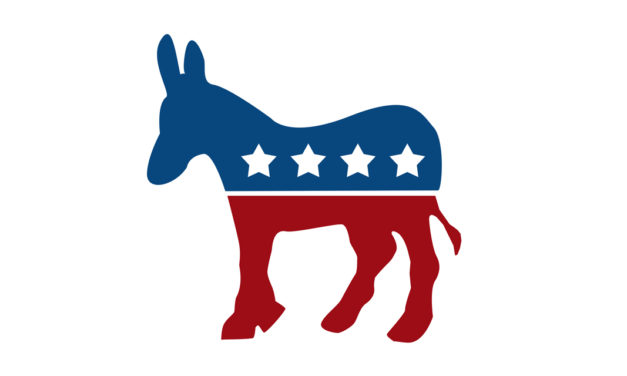 Democratic National Committee Reveals Draft of 2020 Campaign Platform
