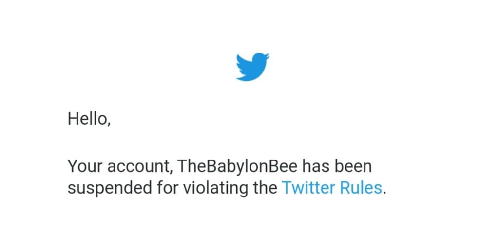 Babylon Bee twitter account suspended
