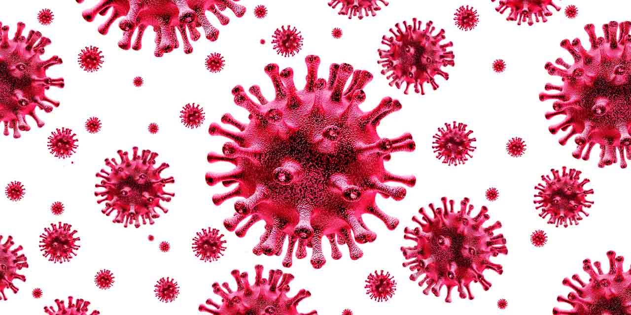 Survey Says: Americans Think Coronavirus Has Killed 9% of U.S. Population