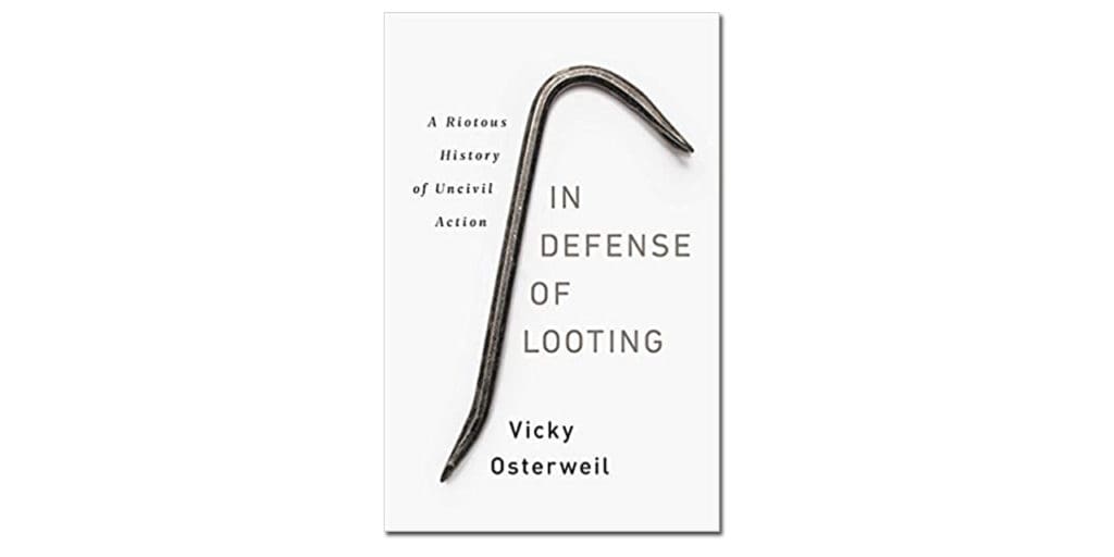 In Defense of Looting book cover