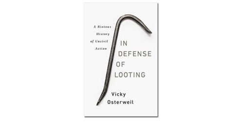 In Defense of Looting book cover