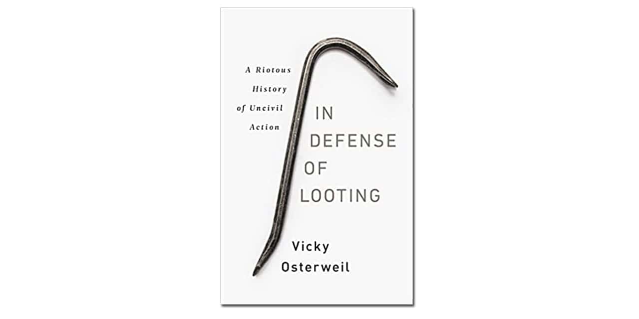 In Defense of Looting book cover