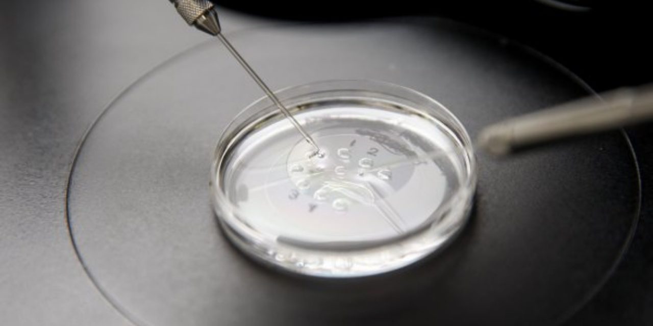 Making Babies from Skin Cells? – The Future of Fertility Raises Ethical and Moral Questions