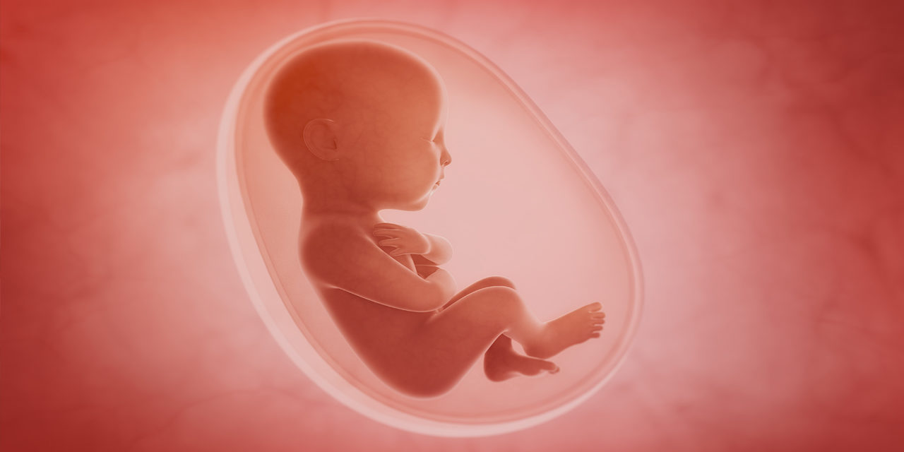 Abortionist Ignores Science in Favor of Pro-Abortion Propaganda