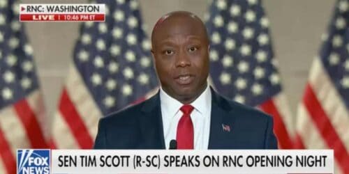 Tim Scott|Kimberly Klacik