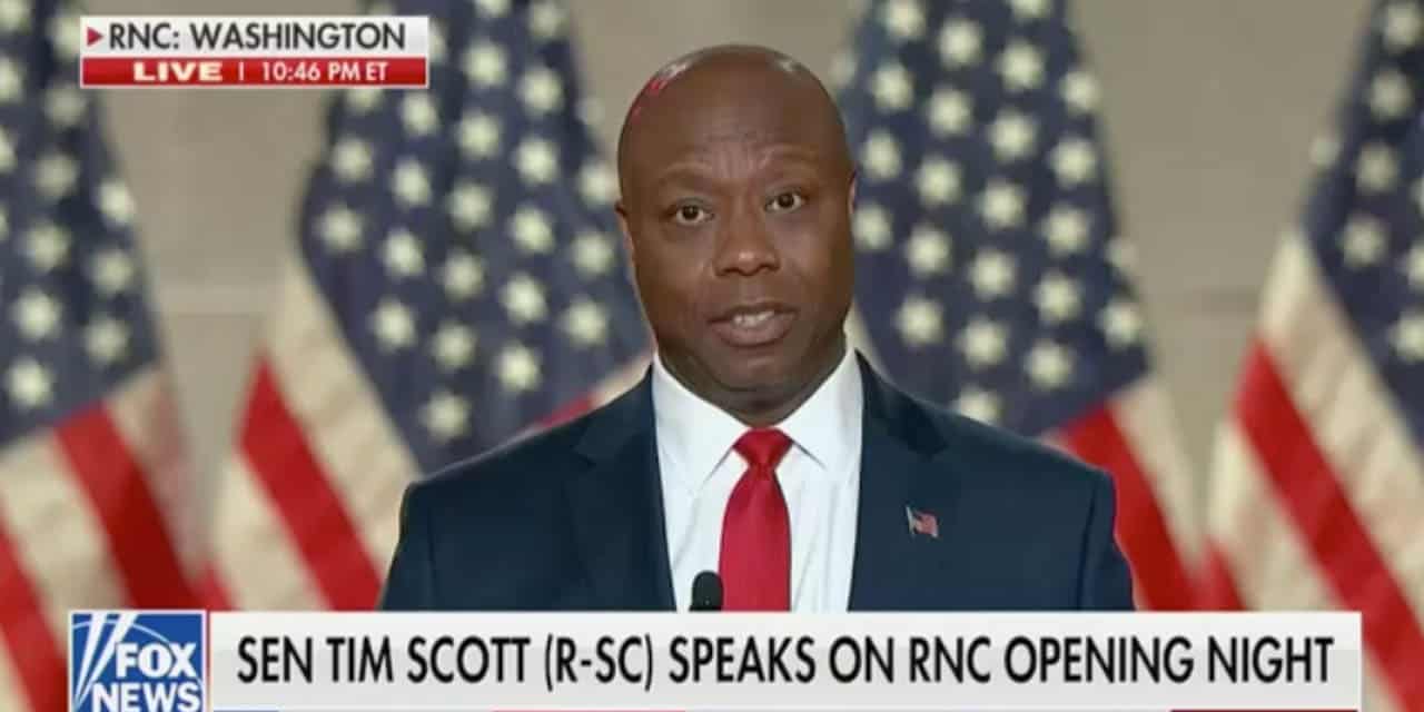 Tim Scott|Kimberly Klacik