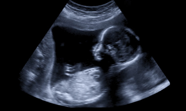 Ohio Looks Poised to Pass Law Requiring Abortionists to Bury or Cremate Preborn Remains