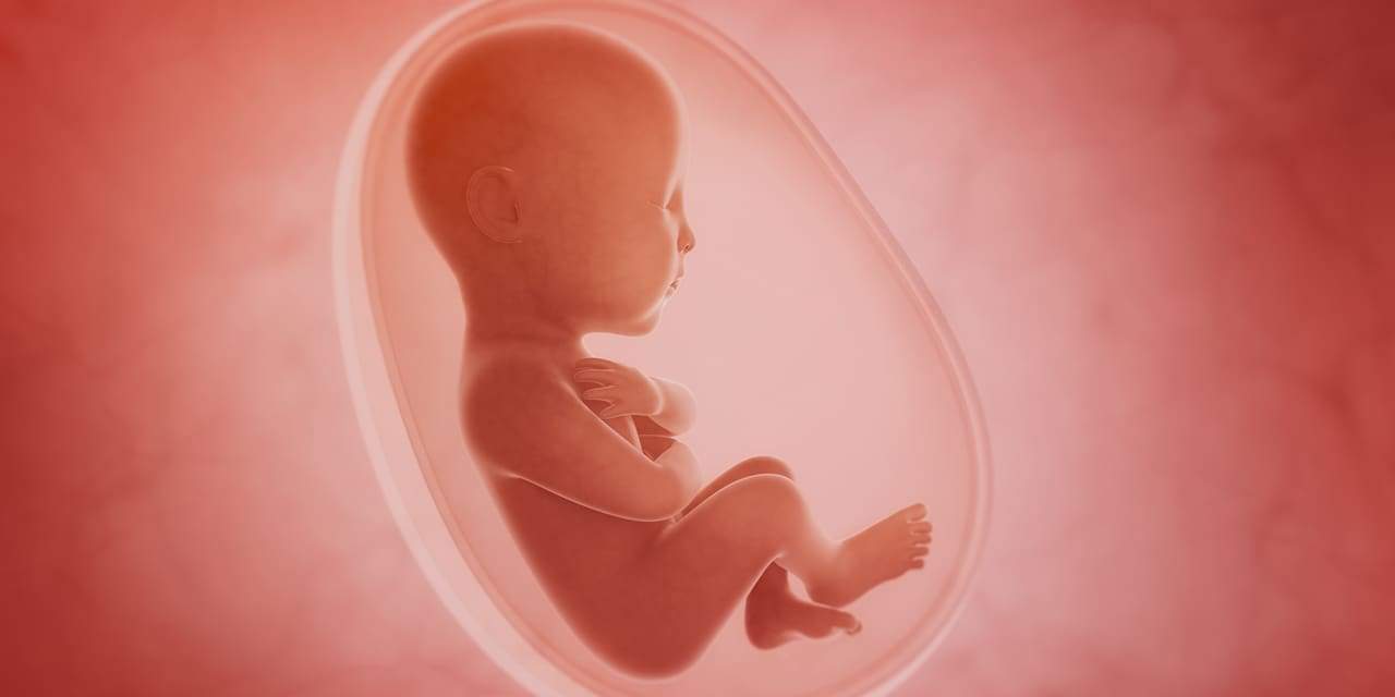 Baby in utero