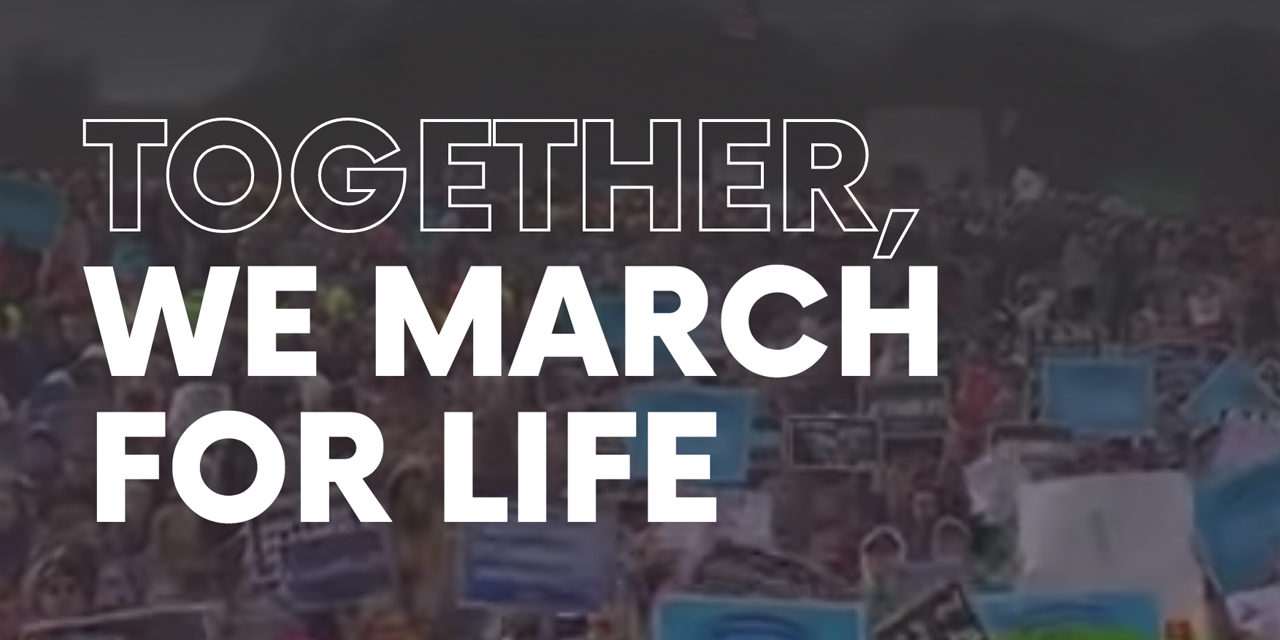 The March for Life Will Walk in Washington D.C. – Sharing the Beauty and Hope of the Pro-Life Message