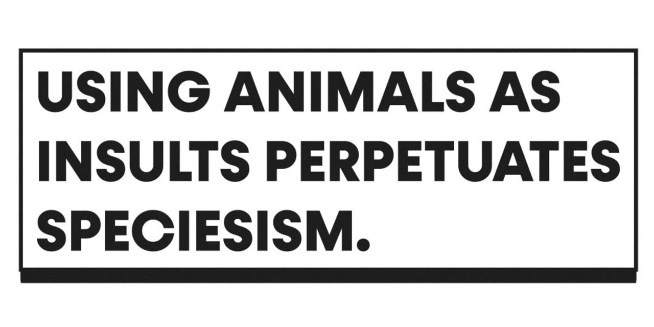 Calling Someone a ‘Pig’ is a Slur Against Pigs, says PETA. Don’t Be a ‘Speciesist’