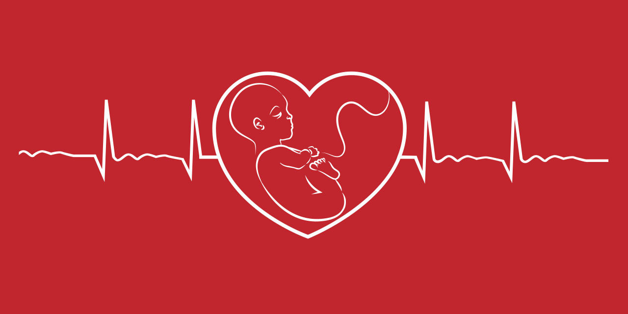 South Carolina Passes Heartbeat Bill. Political Opponents Call Preborn Babies ‘Pretend Life.’