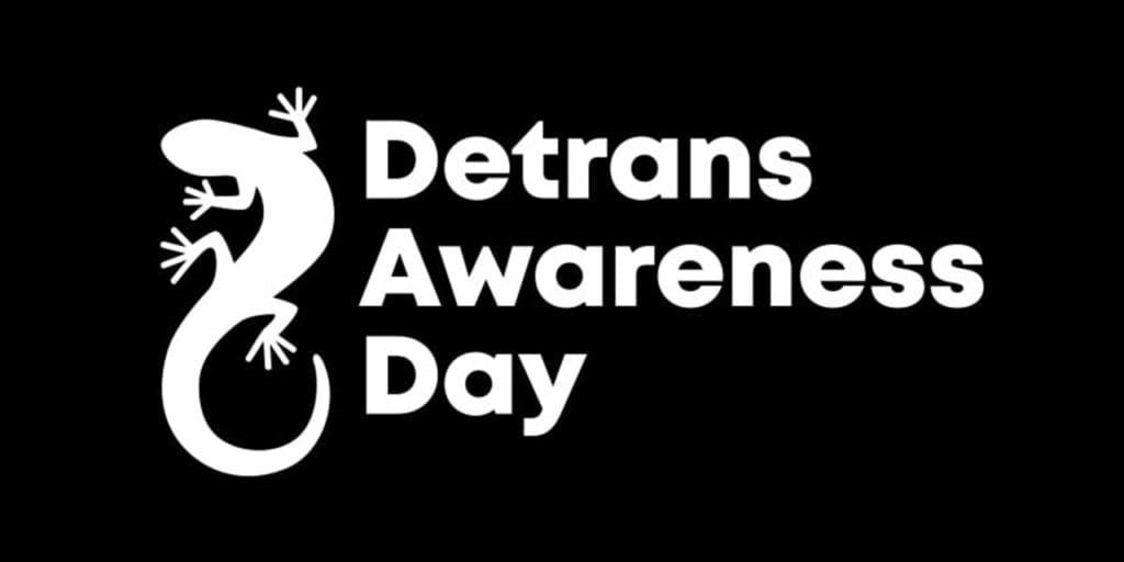 Detrans Awareness Day