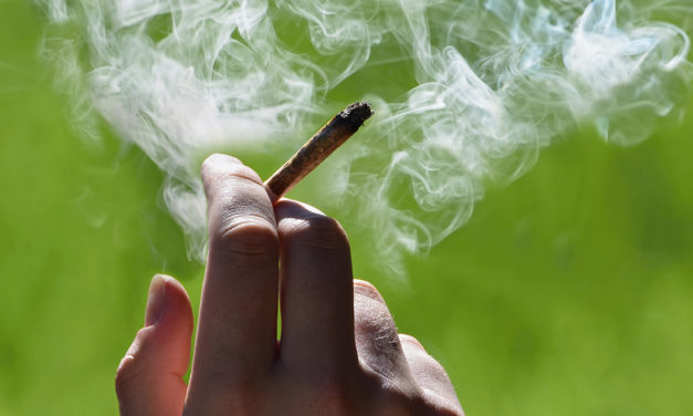 White House Dismisses Employees for Past Marijuana Use
