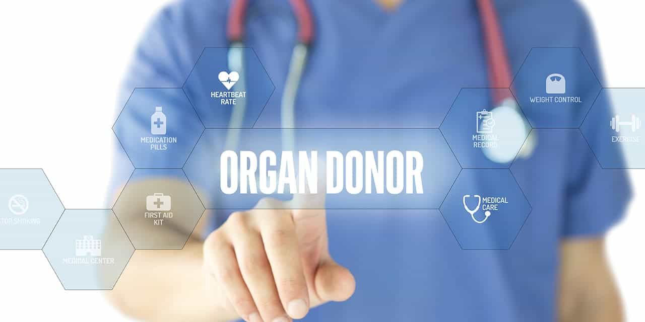 Organ donor