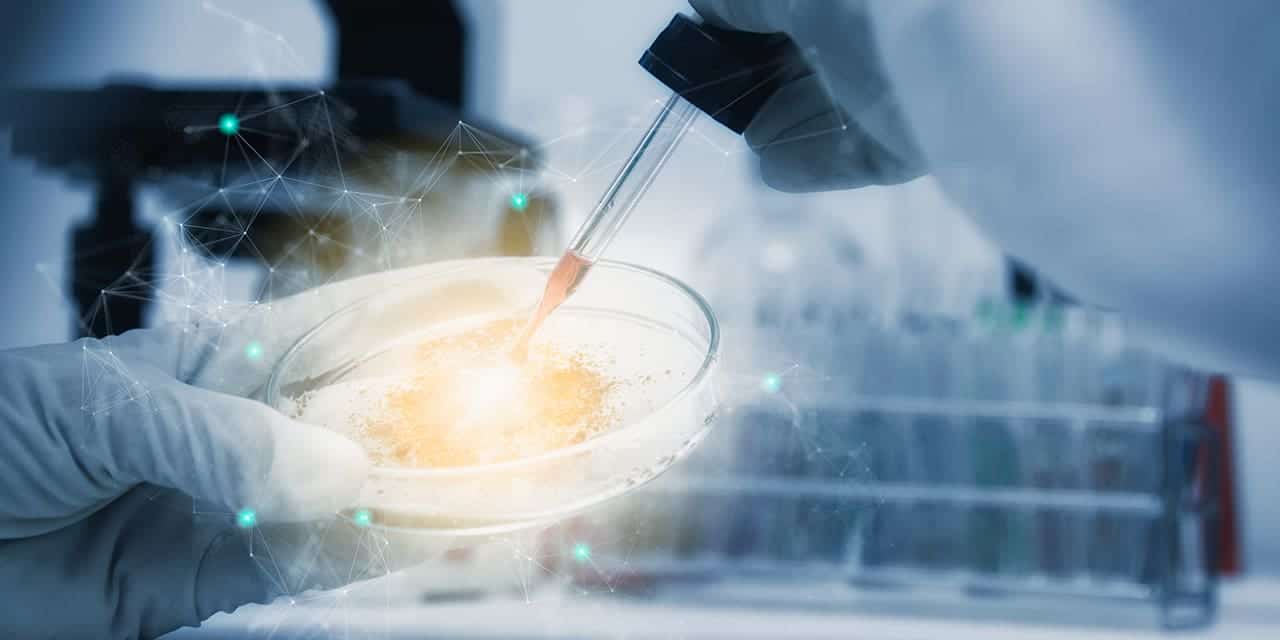 Stem Cell Research Daily Citizen