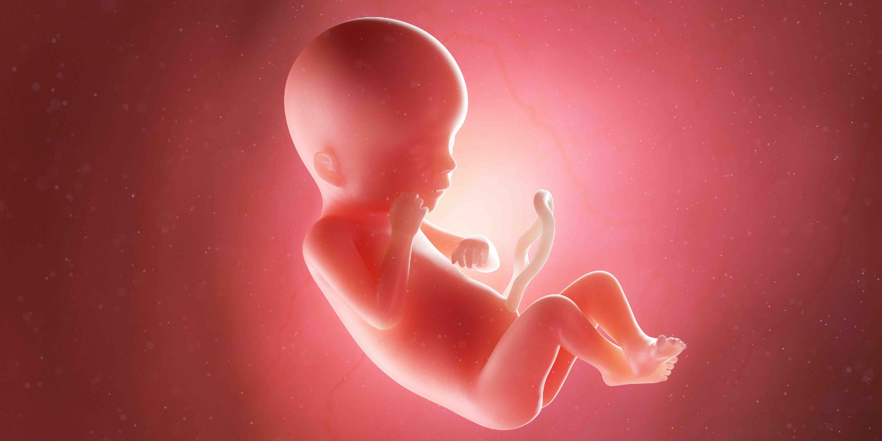 Is the United States Funding Infanticide? How a Recent Report Shows Babies Born Alive After Failed Abortions Might Be Killed for Medical Research