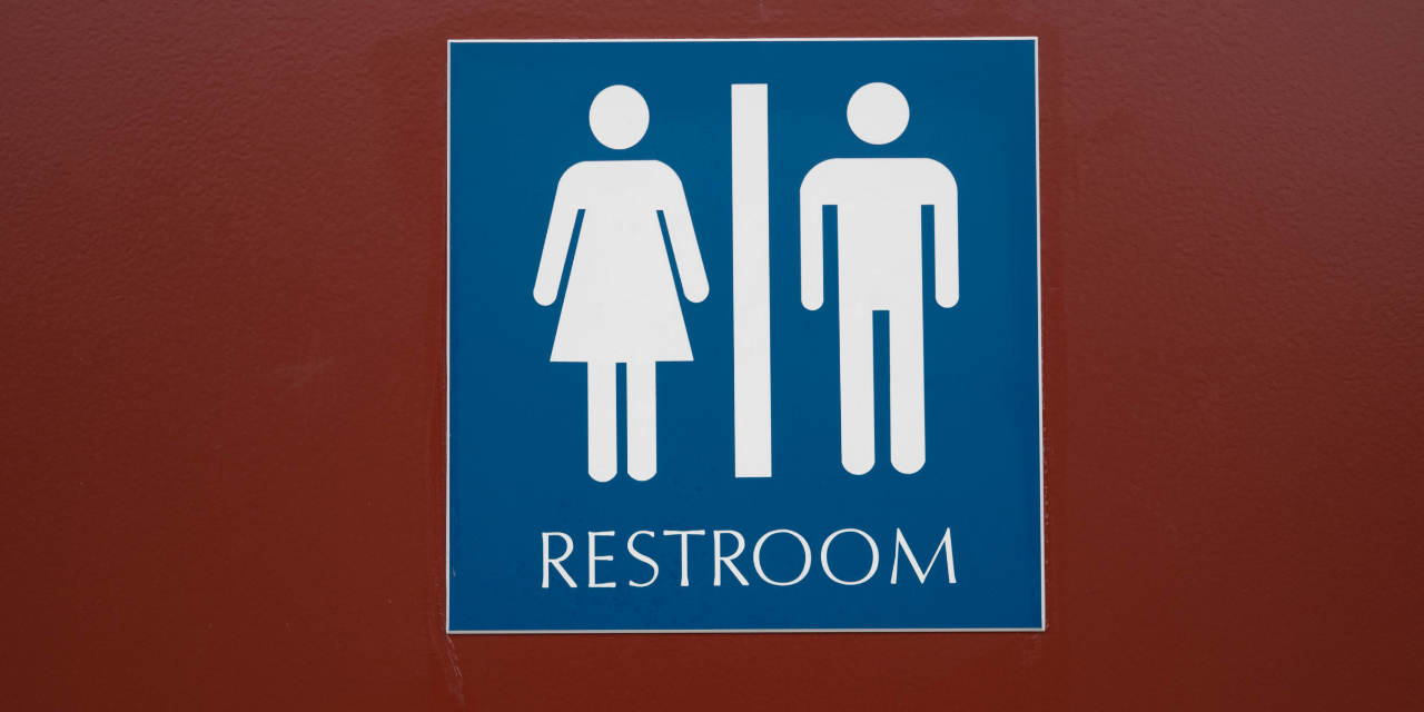 Transgender Activists Sue Tennessee over School Bathroom Law