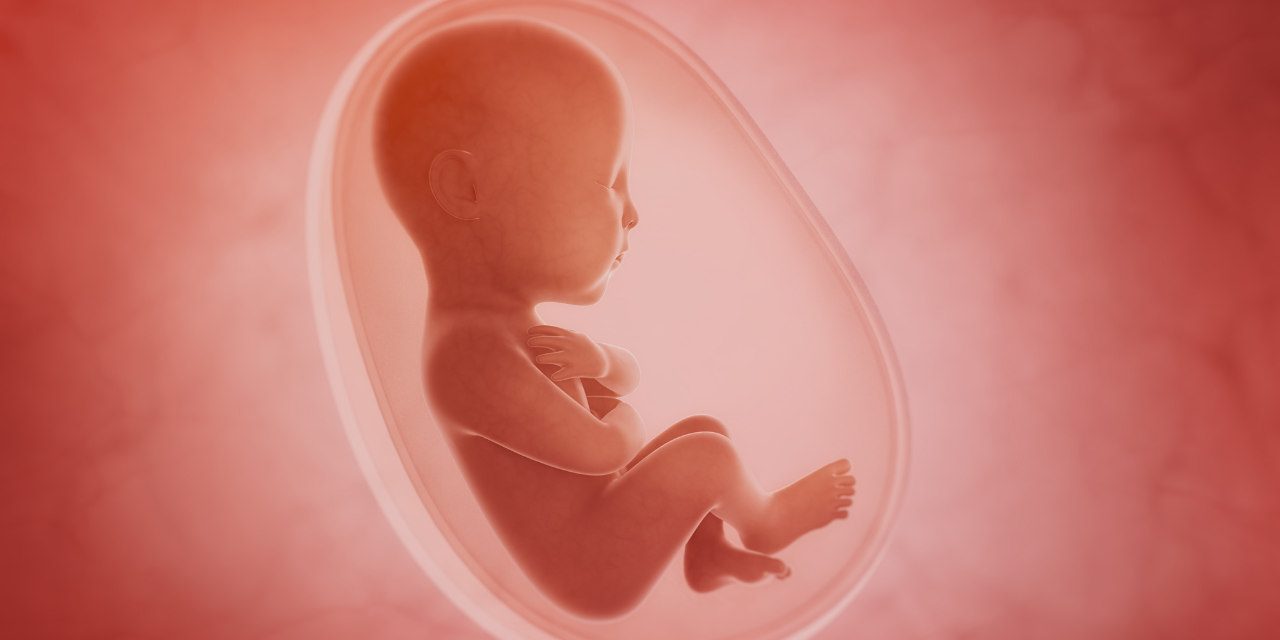 New Pro-Life Measure Introduced in Ohio