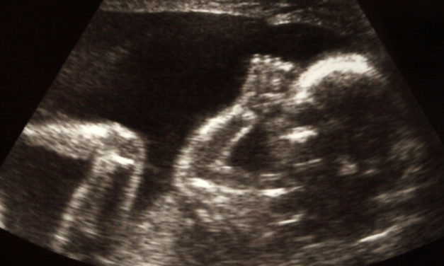 Pro-life Measures Sweep the Nation as Three More States Move to Protect Life in the Womb at 15-Weeks Gestation