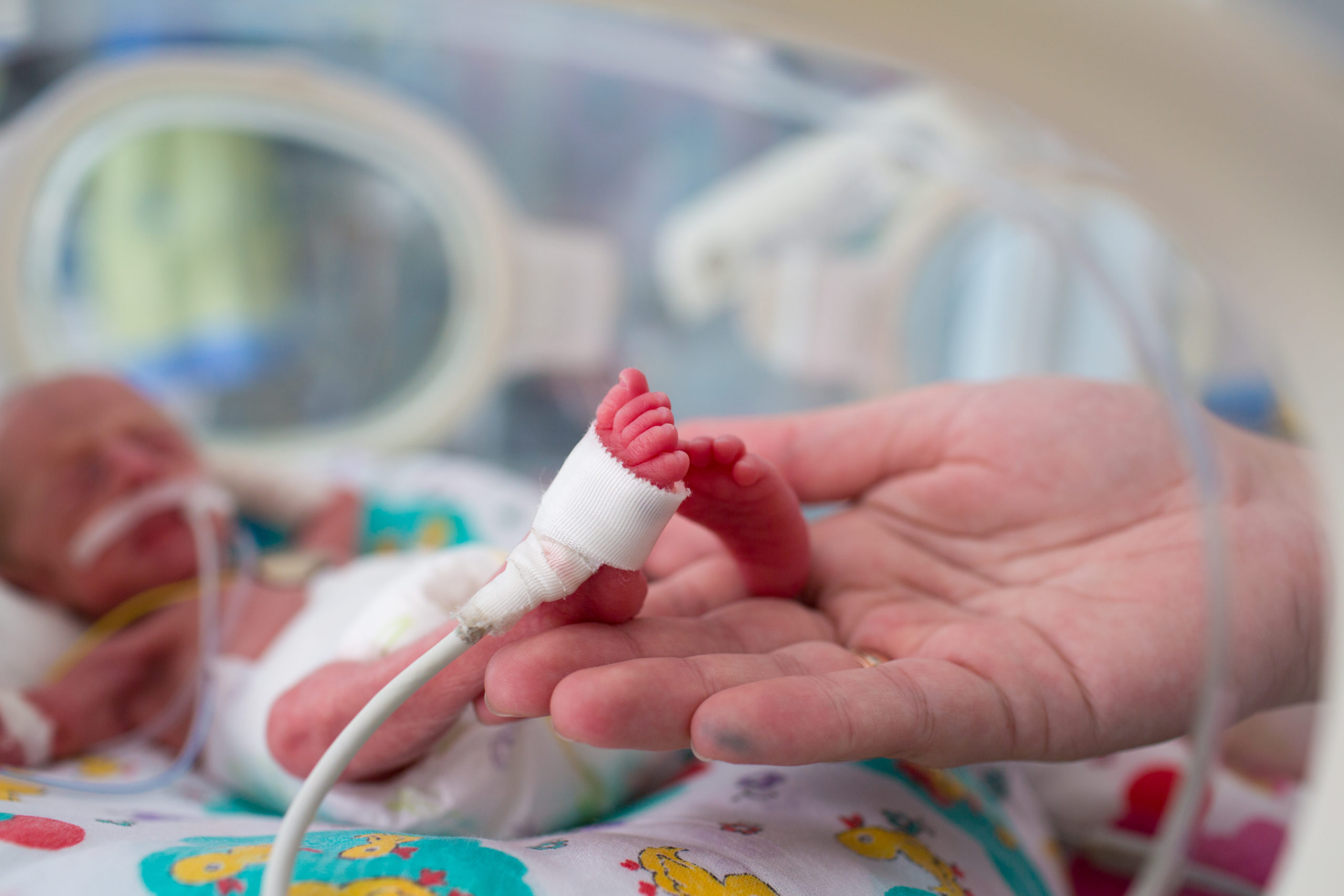 Preemie Newborn Photography  8 Week Baby Pictures — Jennifer