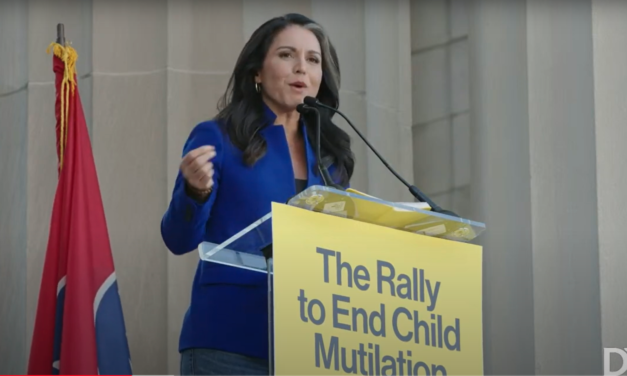 Top Eight Quotes from Nashville “Rally to End Child Mutilation”