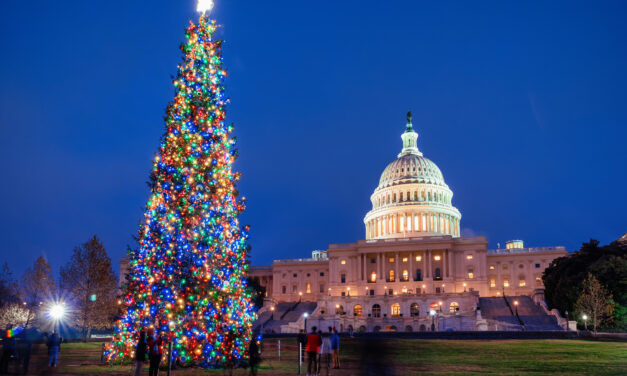 Christmas Revolutionizes Public Policy
