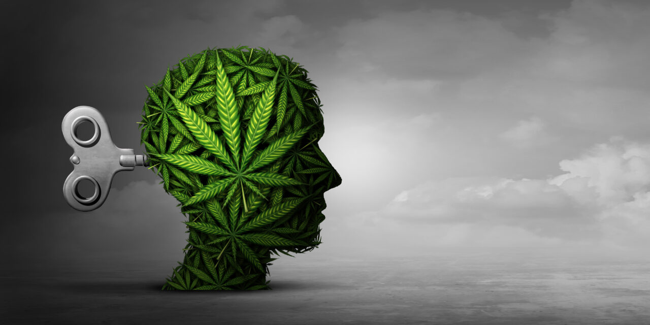 Marijuana Causing Psychosis in Young People, Legacy Media Late to Party