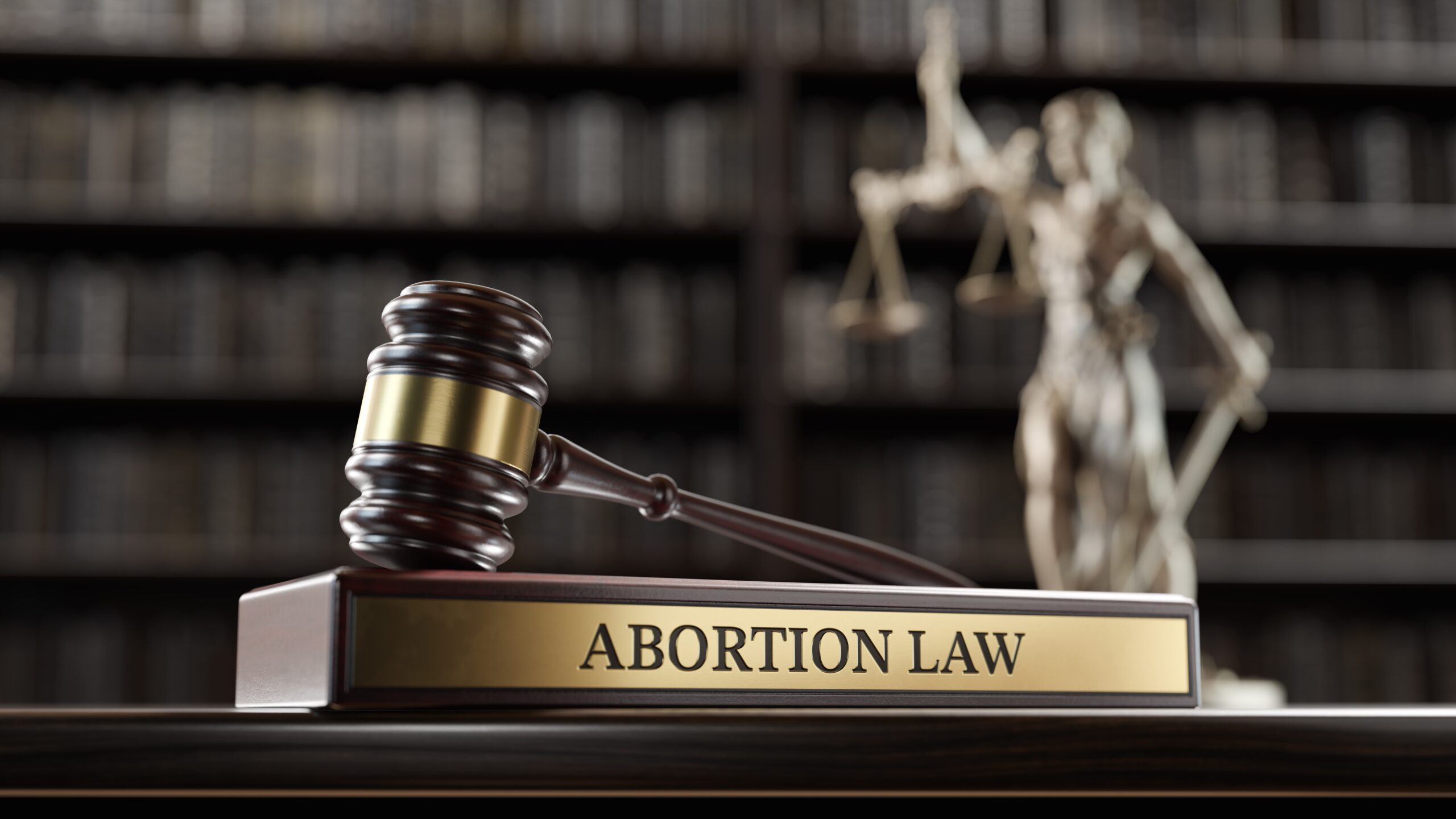 U S Supreme Court Dismisses Idaho Abortion Case Without Addressing the