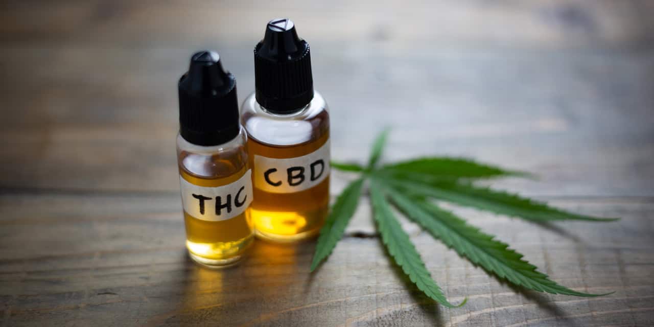 CBD and THC oils