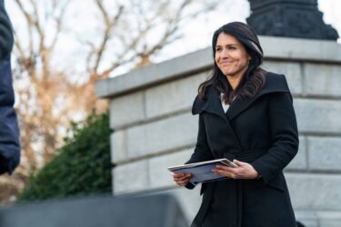 Tulsi Gabbard